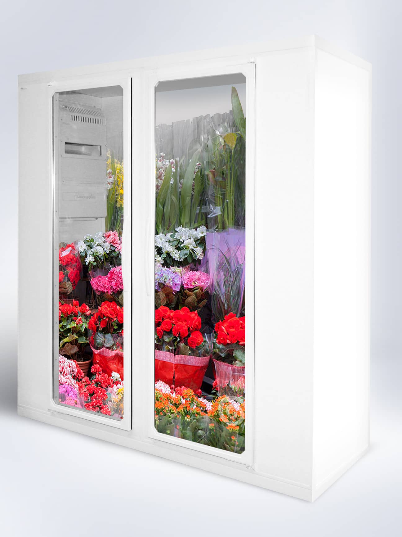 Esistono frigoriferi specifici per la conservazione dei fiori?